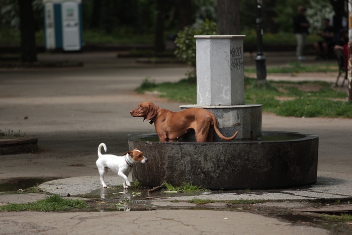 Ще има ли ново строителство ще се навреди ли на